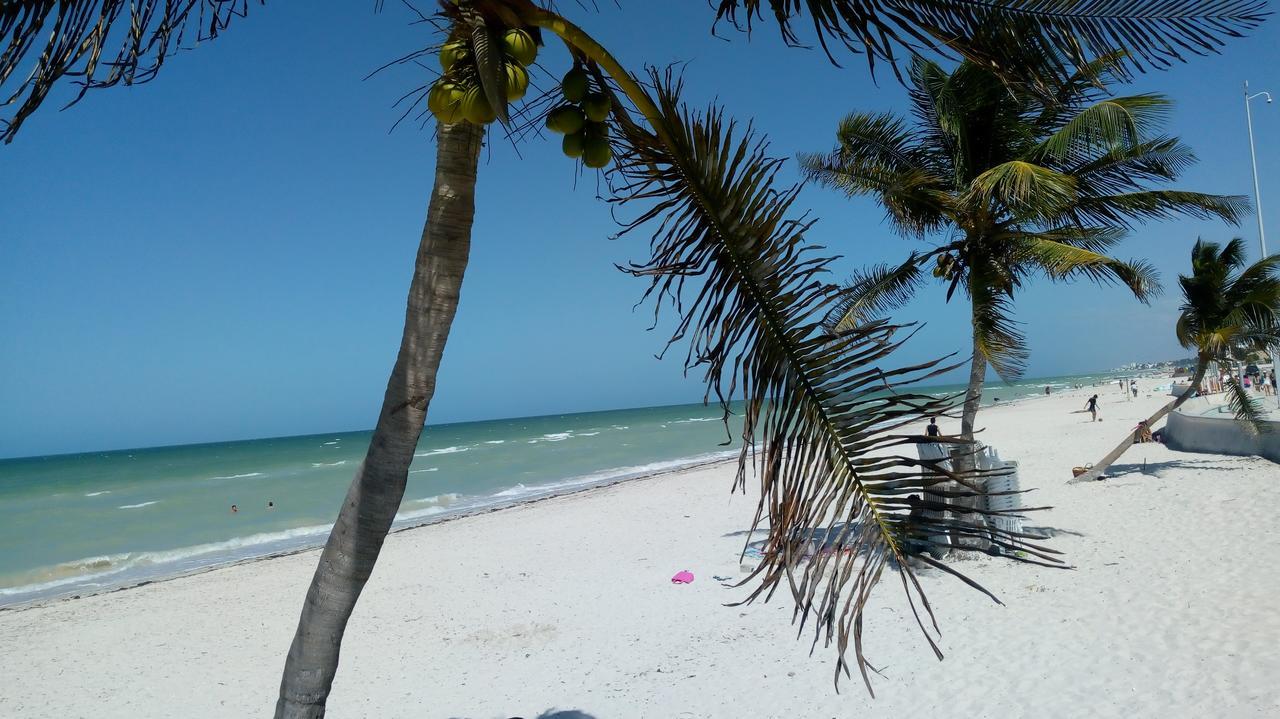 mayab suite Progreso  Bagian luar foto